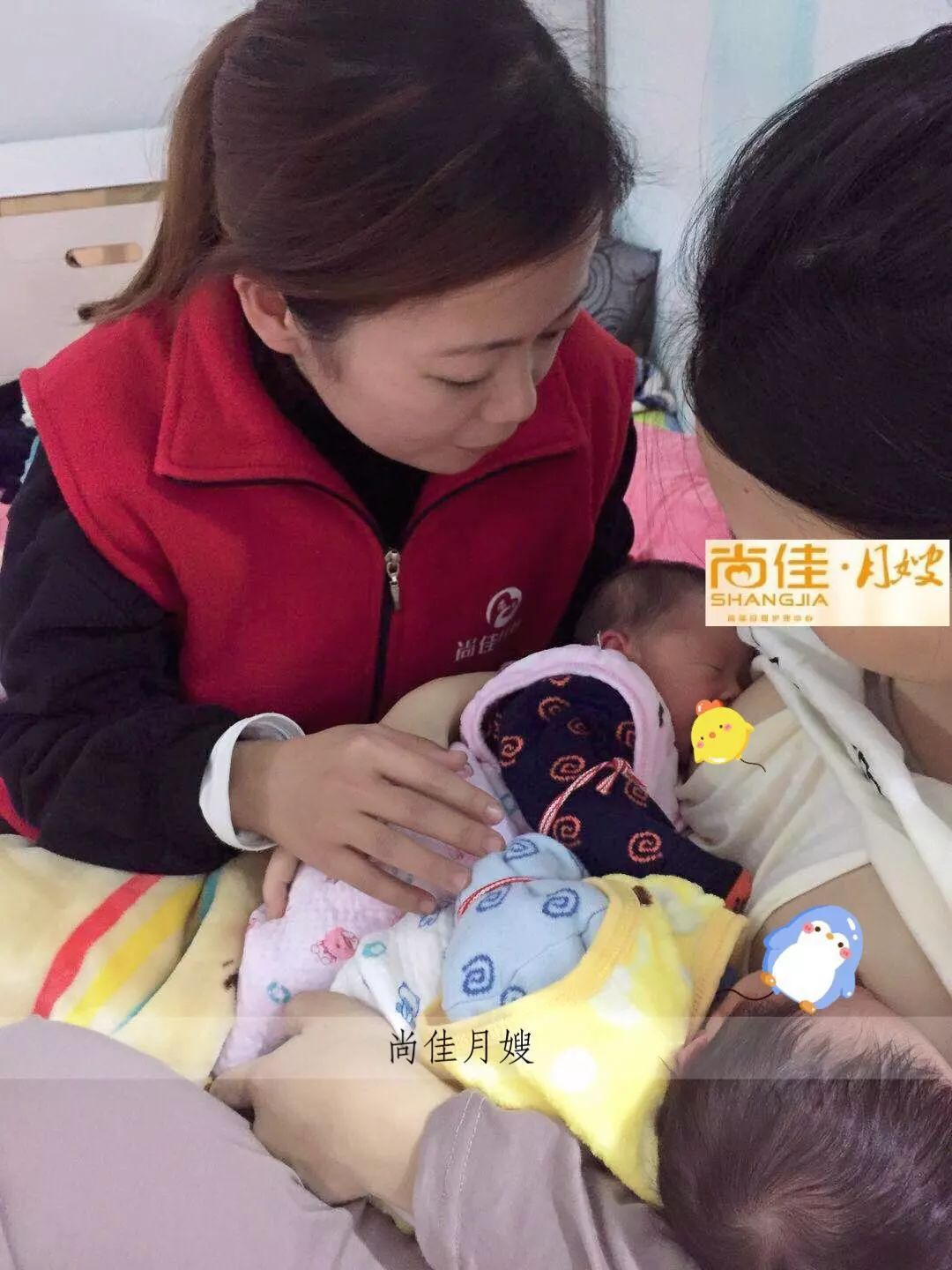 尚佳專業(yè)月嫂丨初生嬰兒需要吃多少？